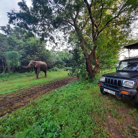 Hostel -In Frant Of The National Park- ウダワラウェ エクステリア 写真