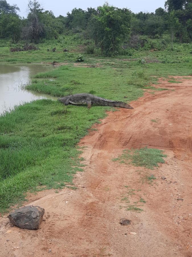 Hostel -In Frant Of The National Park- ウダワラウェ エクステリア 写真