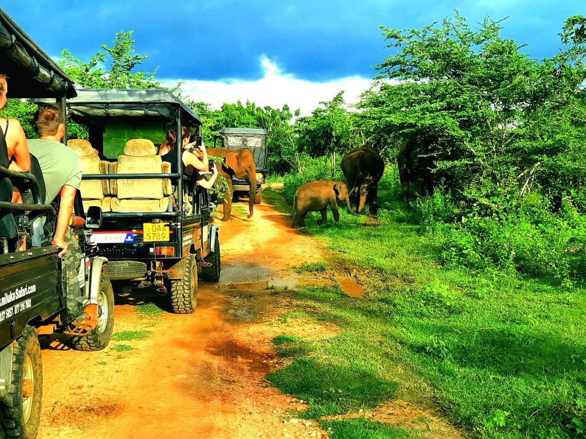 Hostel -In Frant Of The National Park- ウダワラウェ エクステリア 写真